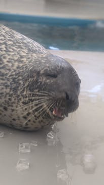 名古屋港水族館に投稿された画像（2021/10/9）