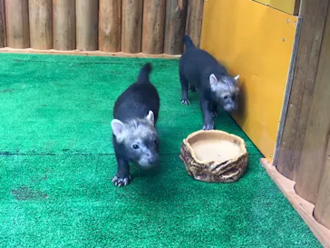 神戸どうぶつ王国に投稿された画像（2021/10/9）