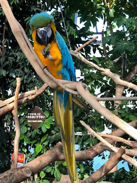 神戸どうぶつ王国に投稿された画像（2021/10/9）