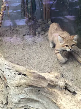 神戸どうぶつ王国に投稿された画像（2021/10/9）