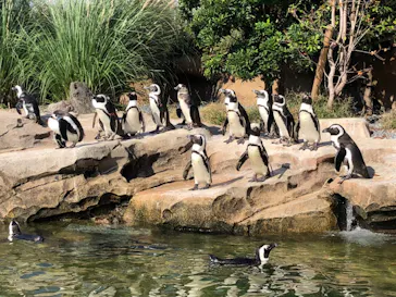 神戸どうぶつ王国に投稿された画像（2021/10/9）