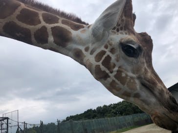 那須サファリパークに投稿された画像（2021/10/9）