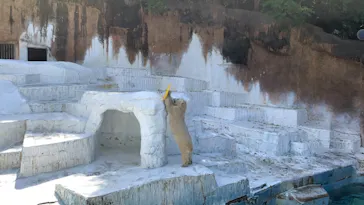 天王寺動物園に投稿された画像（2021/10/9）
