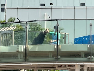 サンシャイン水族館に投稿された画像（2021/10/9）