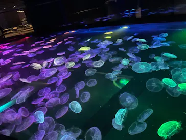 すみだ水族館に投稿された画像（2021/10/9）