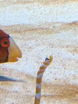 島根県立 しまね海洋館に投稿された画像（2021/10/9）