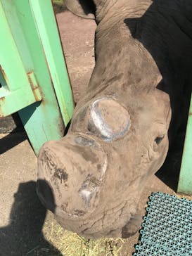 伊豆アニマルキングダムに投稿された画像（2021/10/9）