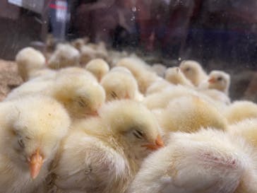 Moff animal world MARK IS みなとみらい店に投稿された画像（2021/10/9）