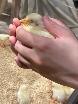 Moff animal world MARK IS みなとみらい店に投稿された画像（2021/10/9）