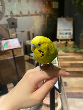 Moff animal world MARK IS みなとみらい店に投稿された画像（2021/10/9）