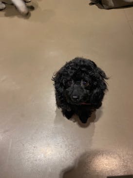 Moff animal world MARK IS みなとみらい店に投稿された画像（2021/10/9）