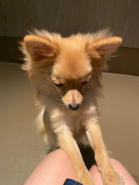 Moff animal world MARK IS みなとみらい店に投稿された画像（2021/10/9）