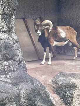 天王寺動物園に投稿された画像（2021/10/9）