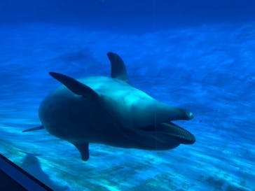 名古屋港水族館に投稿された画像（2021/10/9）