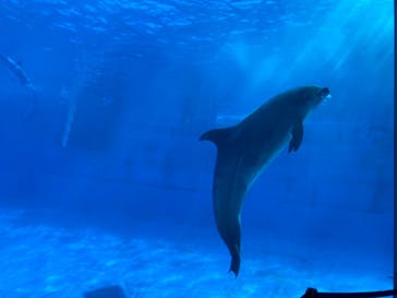 名古屋港水族館に投稿された画像（2021/10/9）