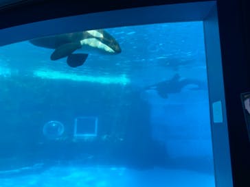 名古屋港水族館に投稿された画像（2021/10/9）