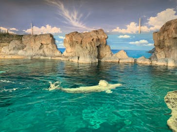 名古屋港水族館に投稿された画像（2021/10/9）