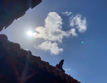 DIVING-SHOP SUNSに投稿された画像（2021/10/9）