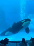 名古屋港水族館に投稿された画像（2021/10/9）