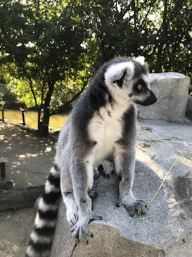 神戸どうぶつ王国に投稿された画像（2021/10/9）