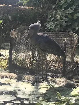 神戸どうぶつ王国に投稿された画像（2021/10/9）