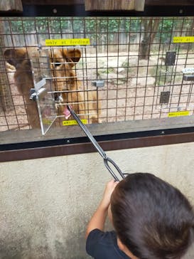 群馬サファリパークに投稿された画像（2021/10/9）