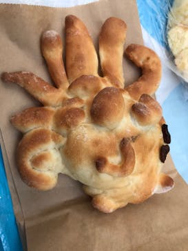 安城産業文化公園デンパークに投稿された画像（2021/10/9）