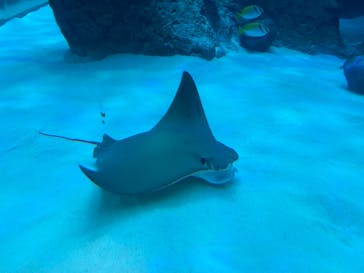 名古屋港水族館に投稿された画像（2021/10/9）