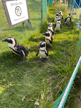 名古屋港水族館に投稿された画像（2021/10/9）