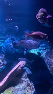 すみだ水族館に投稿された画像（2021/10/9）