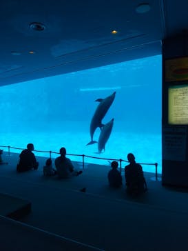 名古屋港水族館に投稿された画像（2021/10/9）