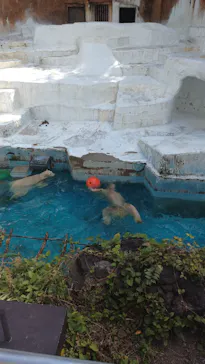 天王寺動物園に投稿された画像（2021/10/9）