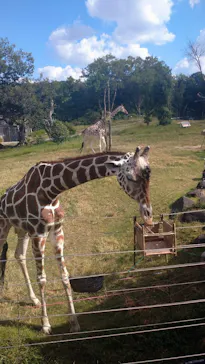 天王寺動物園に投稿された画像（2021/10/9）