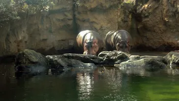 天王寺動物園に投稿された画像（2021/10/9）