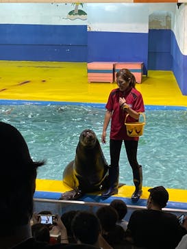 ゼロ距離水族館 伊勢シーパラダイスに投稿された画像（2021/10/9）