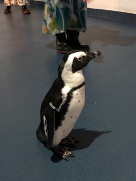 マクセル アクアパーク品川に投稿された画像（2021/10/9）