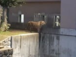 天王寺動物園に投稿された画像（2021/10/9）