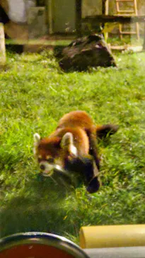天王寺動物園に投稿された画像（2021/10/9）