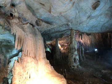 あぶくま洞に投稿された画像（2021/10/9）