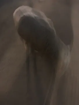 天王寺動物園に投稿された画像（2021/10/9）