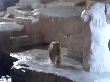 天王寺動物園に投稿された画像（2021/10/9）