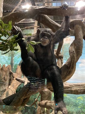 よこはま動物園ズーラシアに投稿された画像（2021/10/9）