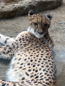 よこはま動物園ズーラシアに投稿された画像（2021/10/9）
