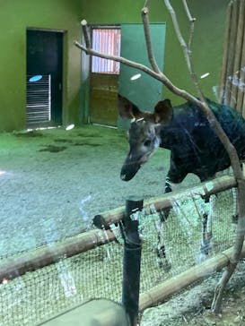 よこはま動物園ズーラシアに投稿された画像（2021/10/9）