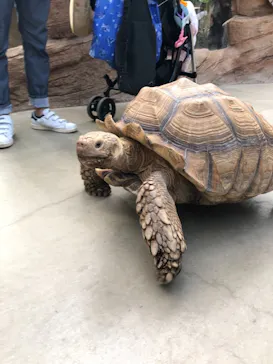 神戸どうぶつ王国に投稿された画像（2021/10/9）