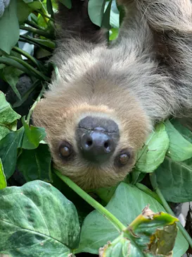 神戸どうぶつ王国に投稿された画像（2021/10/9）