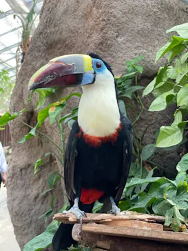 神戸どうぶつ王国に投稿された画像（2021/10/9）