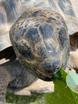 神戸どうぶつ王国に投稿された画像（2021/10/9）