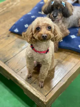 神戸どうぶつ王国に投稿された画像（2021/10/9）