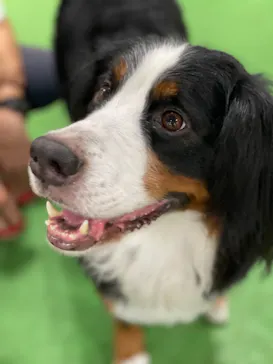 神戸どうぶつ王国に投稿された画像（2021/10/9）